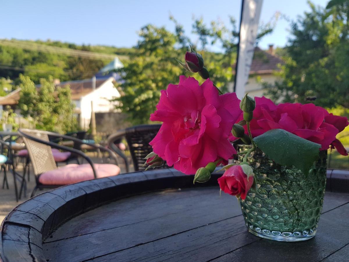Antaloczy Cottage Tokaj Dış mekan fotoğraf